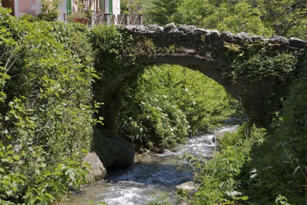 IMG_2008-05-25_Pont_Genois_4