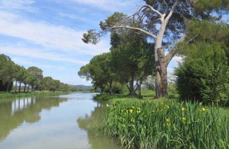 Le canal de la Robine