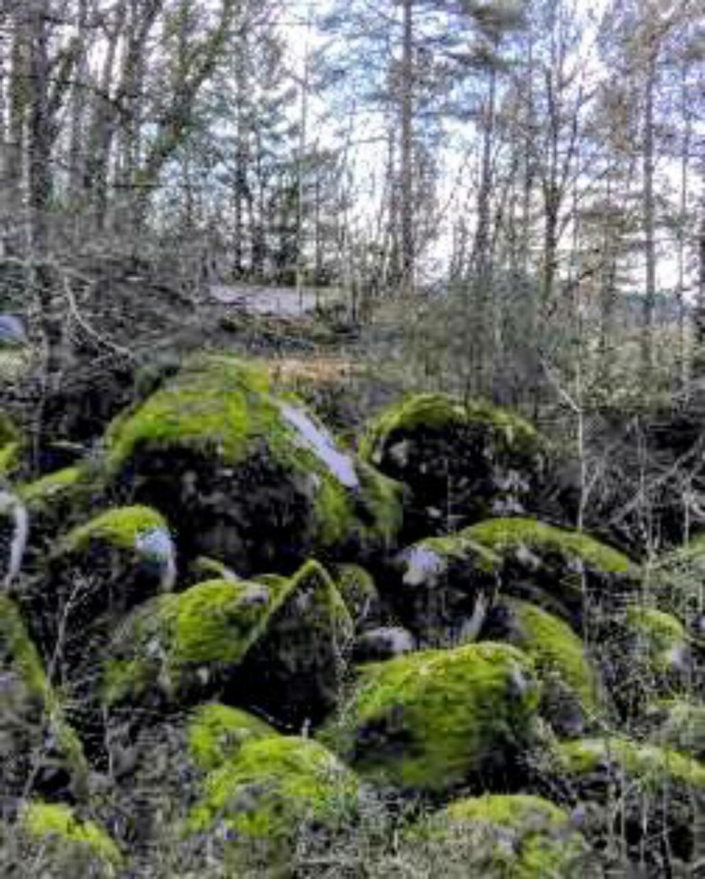 10_Rochers du Sidobre