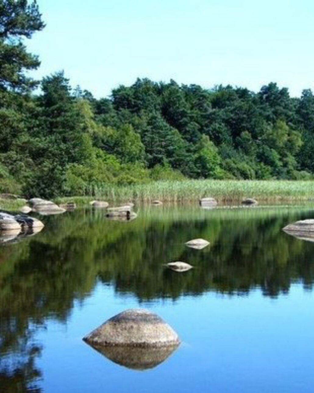 11_Rochers du Sidobre