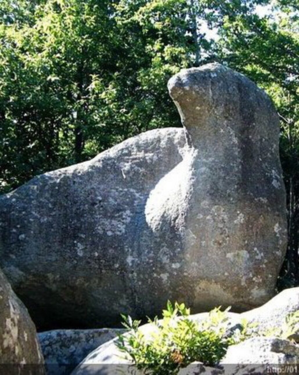 14_Rochers du Sidobre