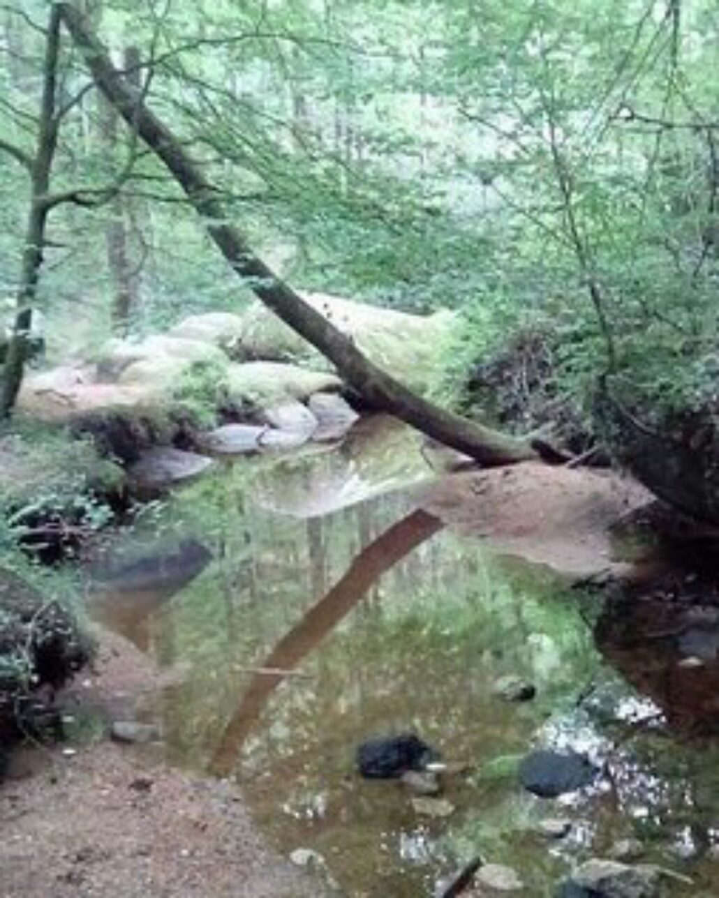 15_Rochers du Sidobre