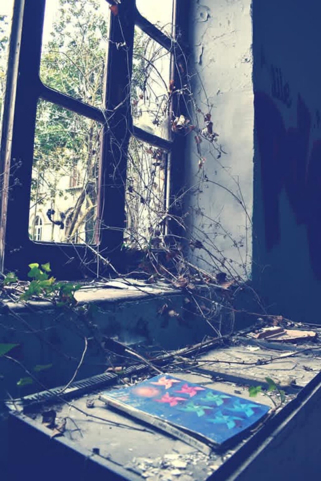 2015-06-20_Urbex–l-Abbaye-Collège-d-Ardouane_7