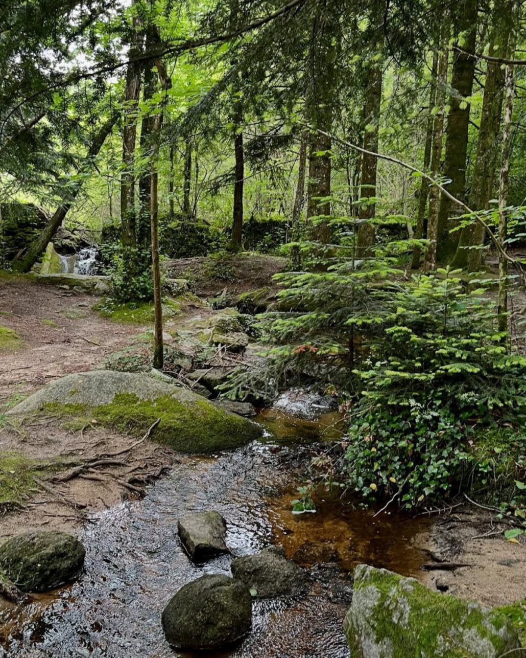 3_Rochers du Sidobre