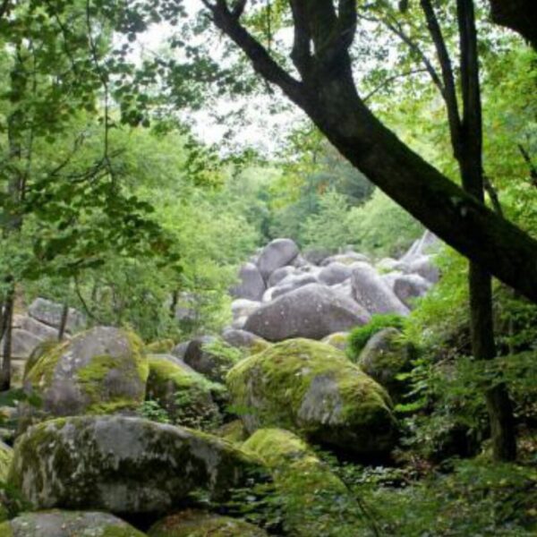 Le Chaos de la Rouquette et la grotte Saint-Dominique