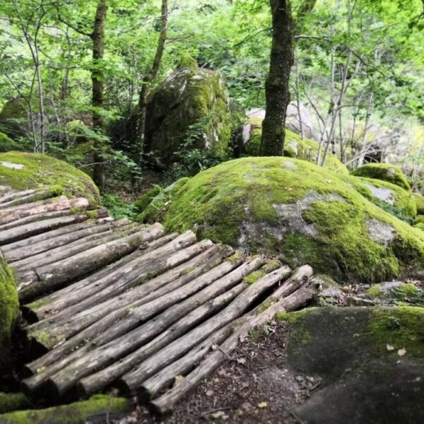 Burlats, entre pierre, eau et légende