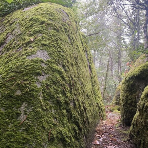 Le sentier des merveilles et les Rocs de Crémaussel