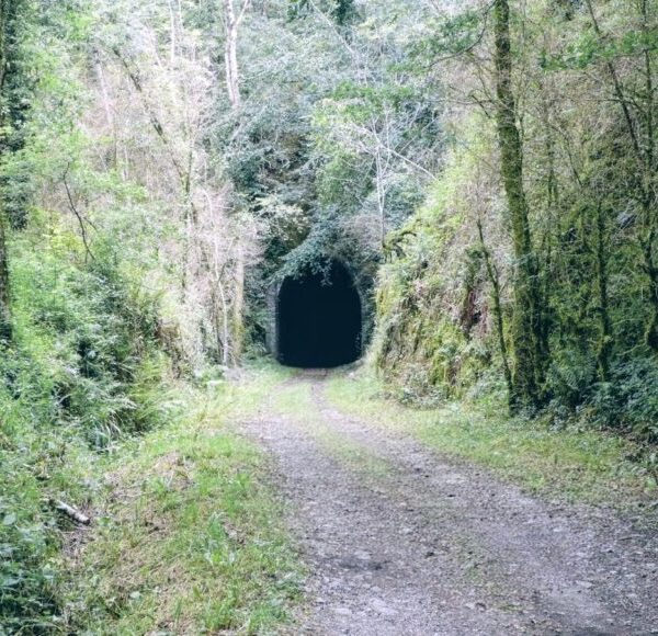 Sur les traces du petit train du Sidobre