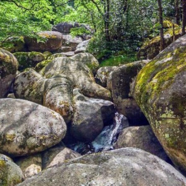 La rivière de rochers — ou le Chaos de Feuillebois