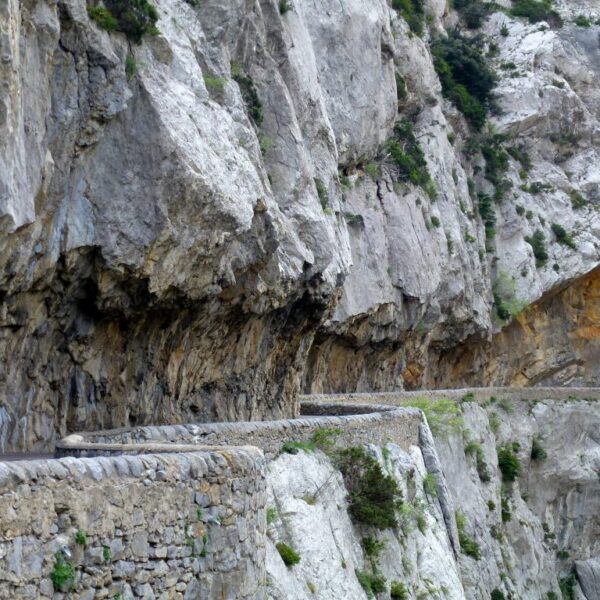 Gorges de Galamus I