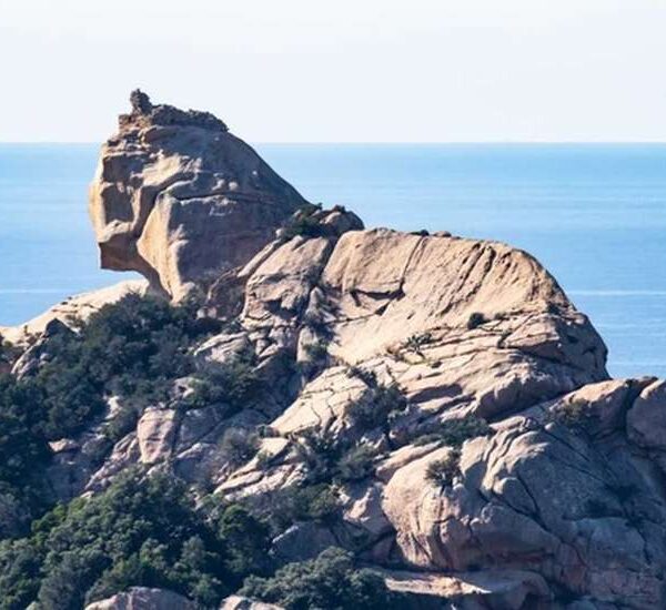Le Lion de Roccapina