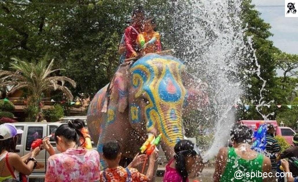 Fête de l’eau – festival Songkran en Thaïlande