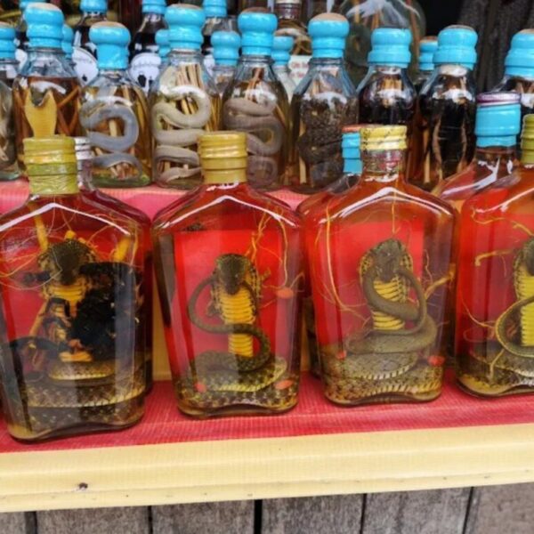 Le Lao lao du village de Bansanghai à Luang Prabang