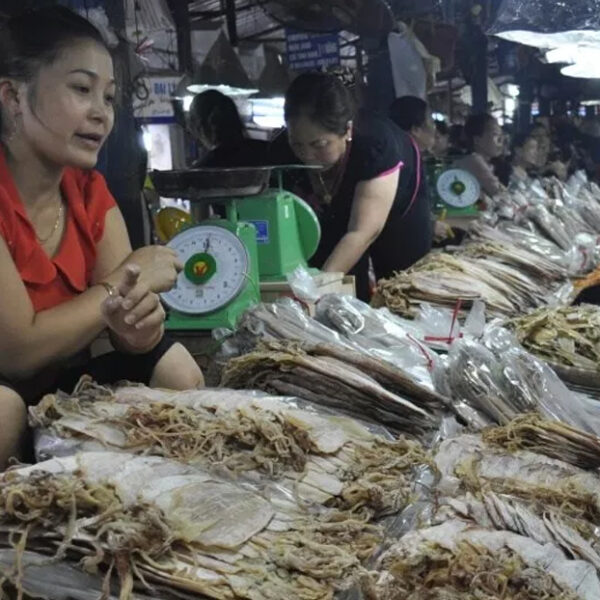 Marché de Cat Ba