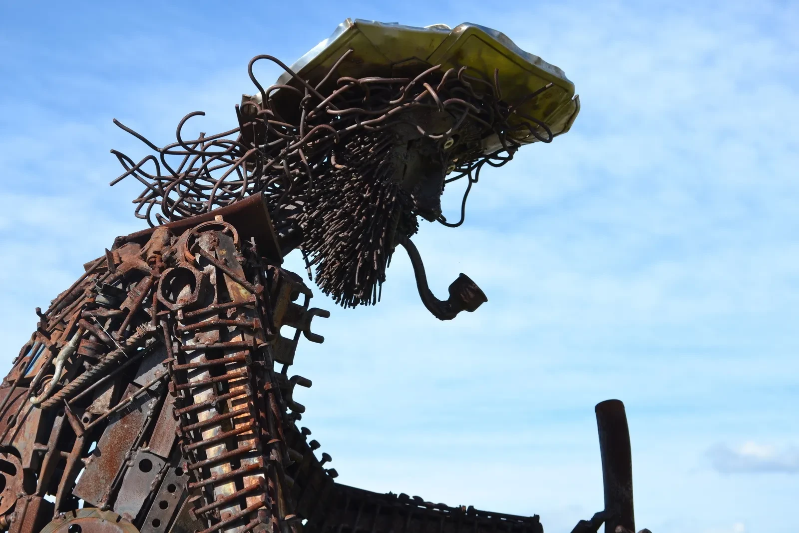 5_Le_Trufficulteur_D-André Debru_à_Saint-Paul-Trois-Châteaux_Drôme-26130