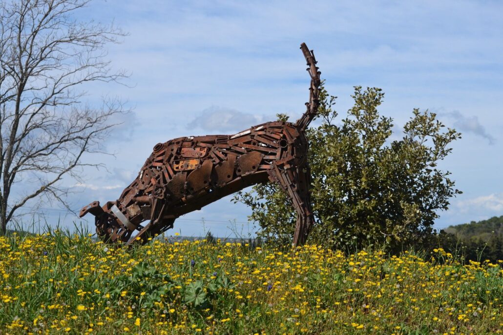 6_Le_Trufficulteur_D-André Debru_à_Saint-Paul-Trois-Châteaux_Drôme-26130
