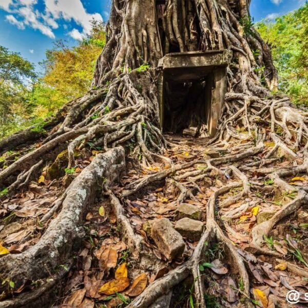 Les temples de Sambor Prei Kuk – Cambodge