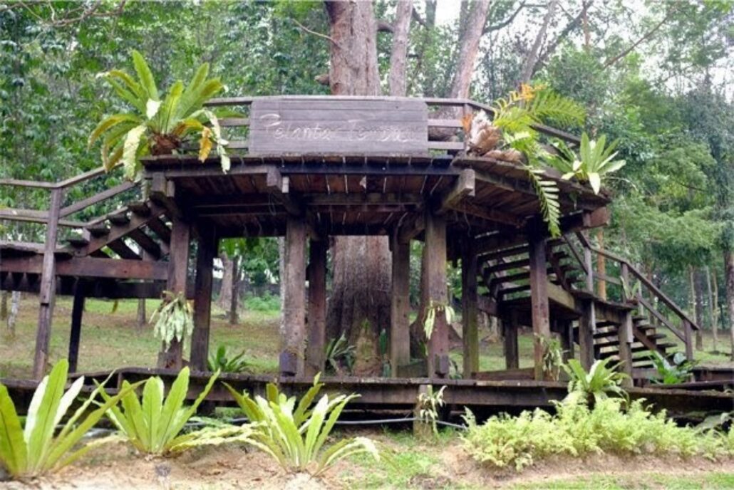 4_Les “Deckings” du Botanical Gardens Kuala Lumpur