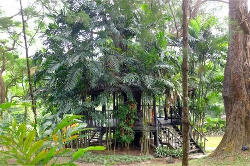 5_Les “Deckings” du Botanical Gardens Kuala Lumpur