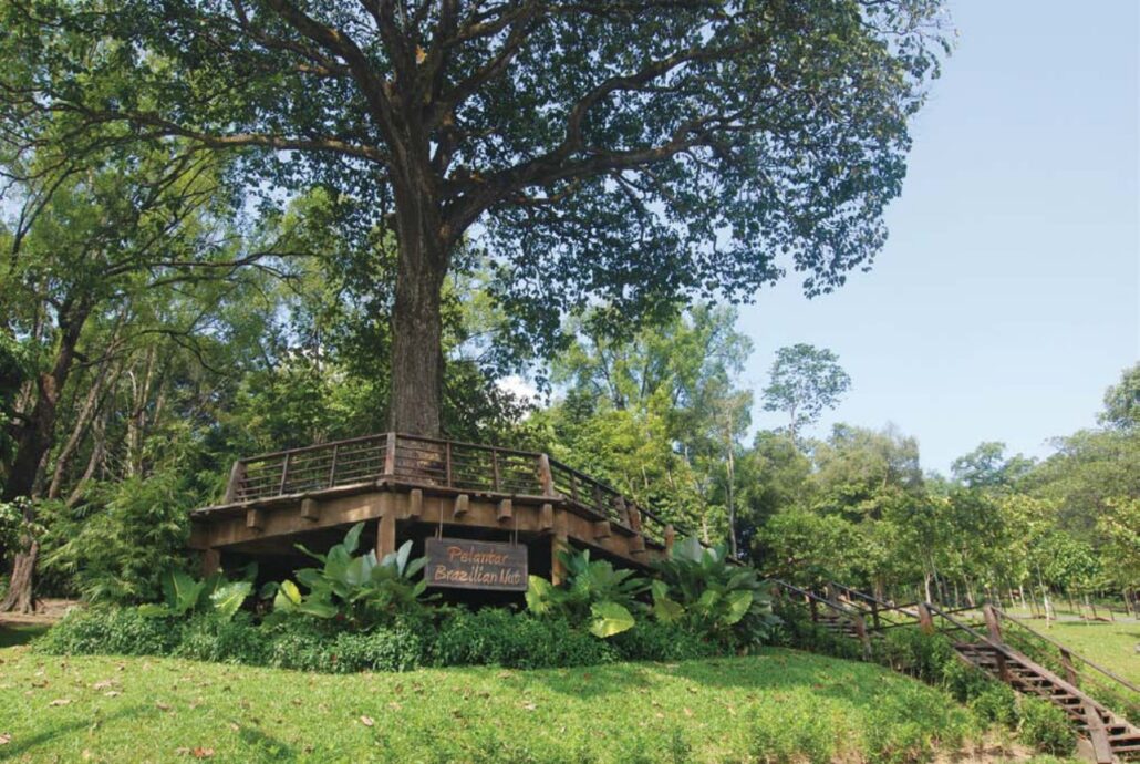 6_Les “Deckings” du Botanical Gardens Kuala Lumpur