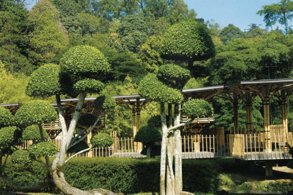 7_Les “Deckings” du Botanical Gardens Kuala Lumpur
