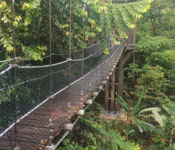 Taman Eko Rimba Kuala Lumpur Malaisie