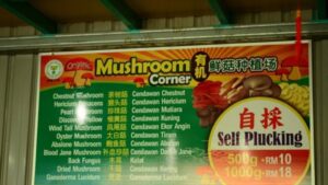 Fast food - Cameron Highlands