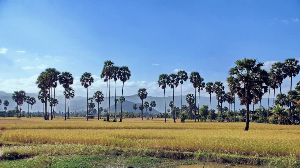 13) Province Kandal & Takeo Cambodge