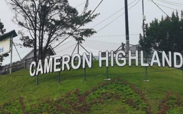 Cameron Highlands Malaisie