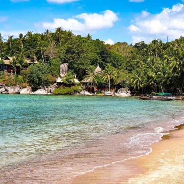 Koh Tao, l’île aux tortues