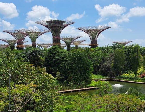 Gardens by the Bay à Singapour, un incontournable