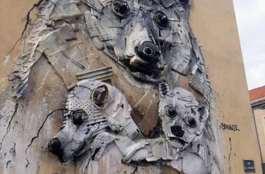 Bordalo II à Nancy : l’ours qui nous regarde