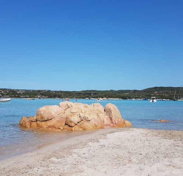 L’île de Piana