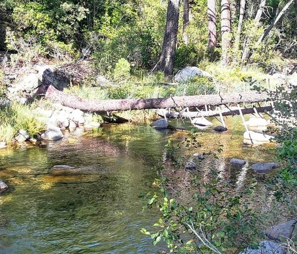 Fleuve L’OSU promenade et baignade