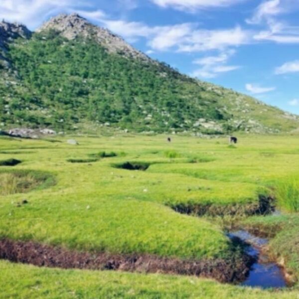 Le plateau du Coscione