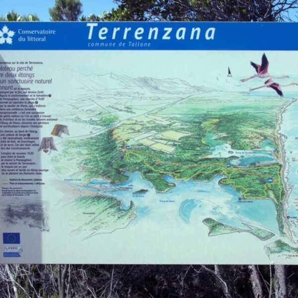 Le sentier des étangs de Diana et Terrenzana
