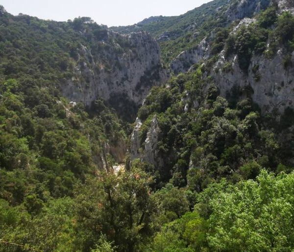 Les gorges de Galamus II