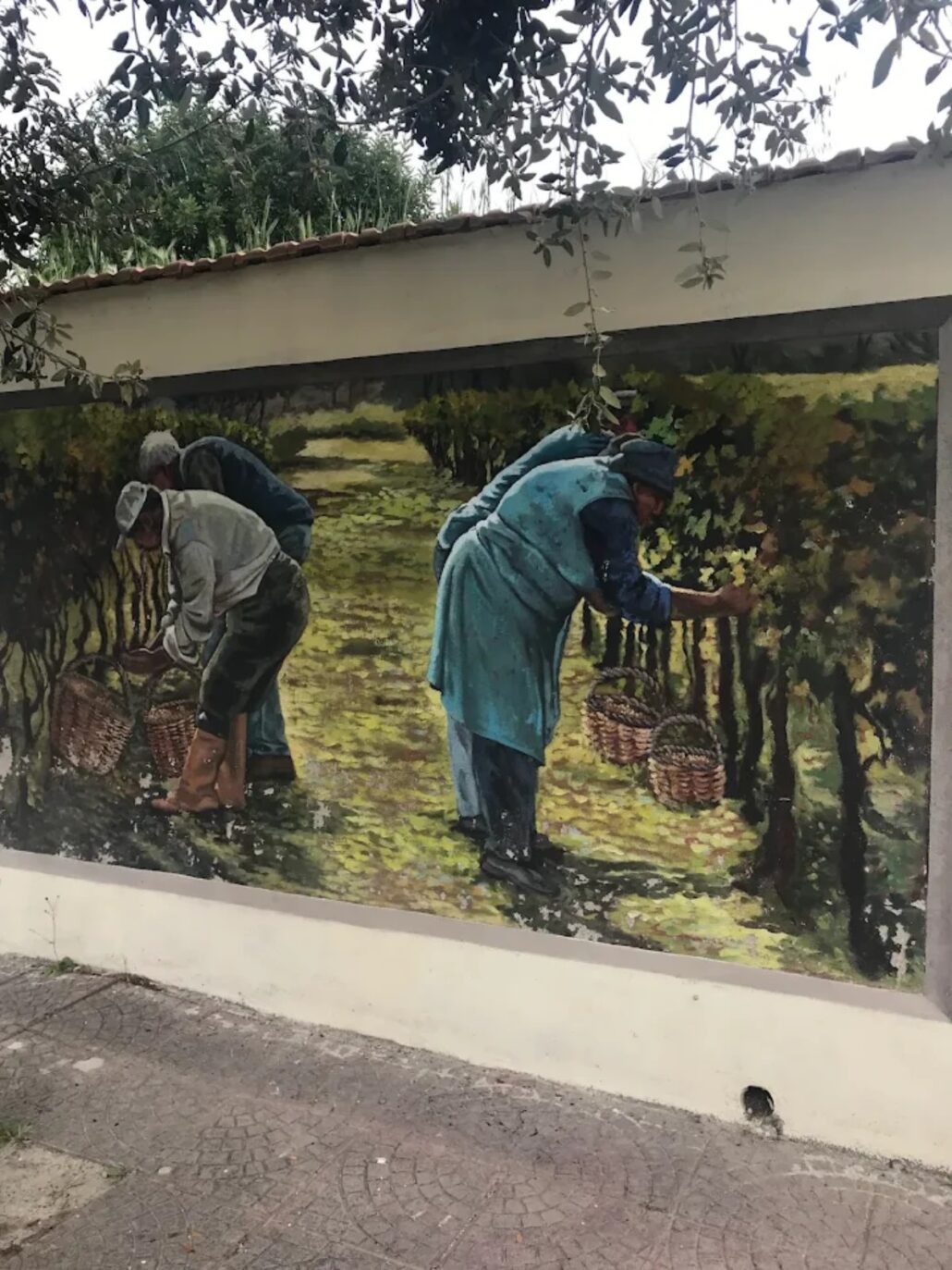 IMG_2019-10-19_murales_Magomadas_Sardaigne_12