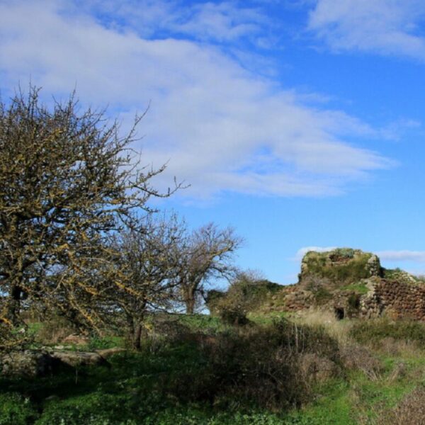 Patrimoine nuragique de Sagama à Scano Montiferro