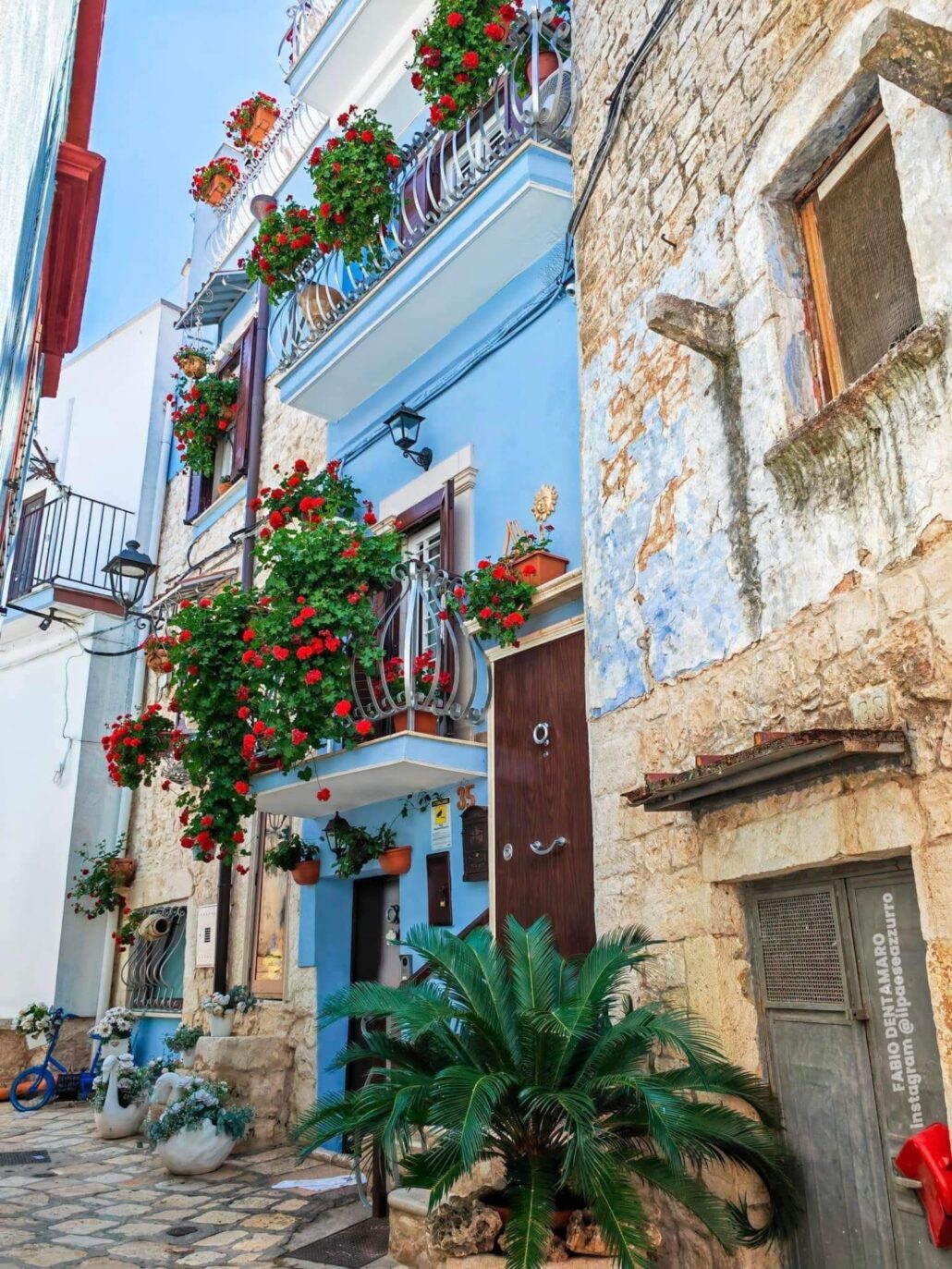 IMG_2021-11-10_Vieux_village_de_Casamassima-des-Pouilles-italie_6