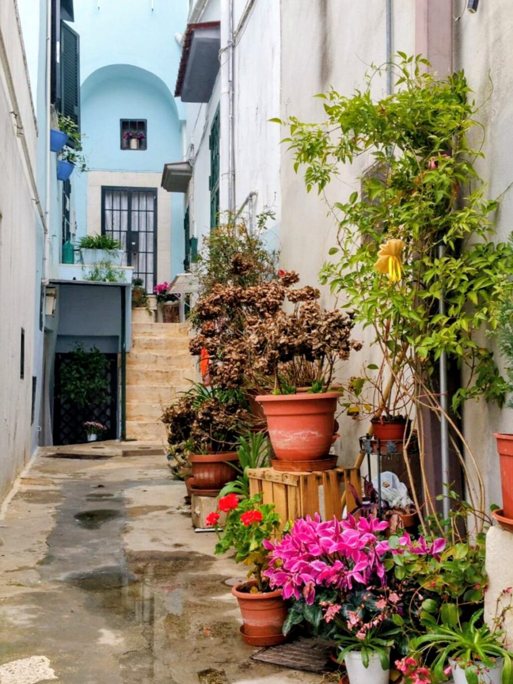 IMG_2021-11-10_Vieux_village_de_Casamassima-des-Pouilles_19~2