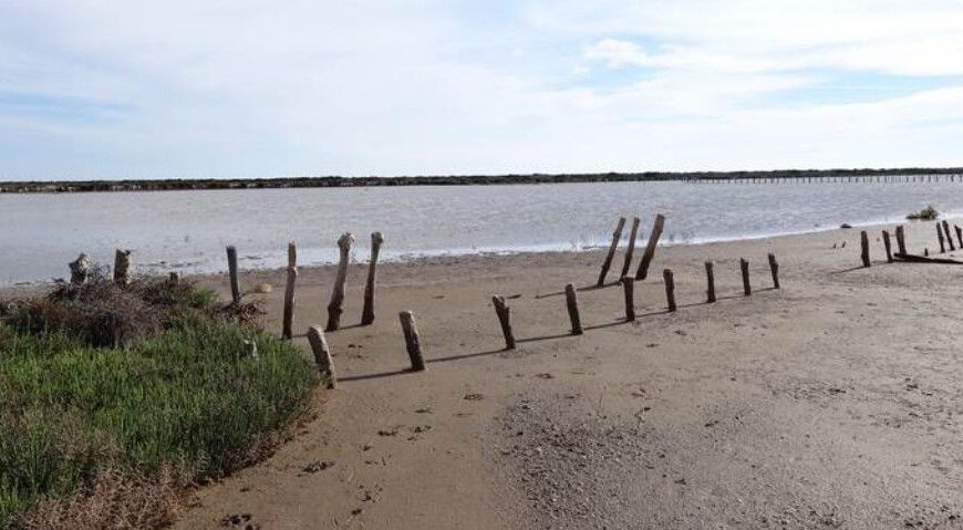 Les Salins de l’Île de Sainte-Lucie