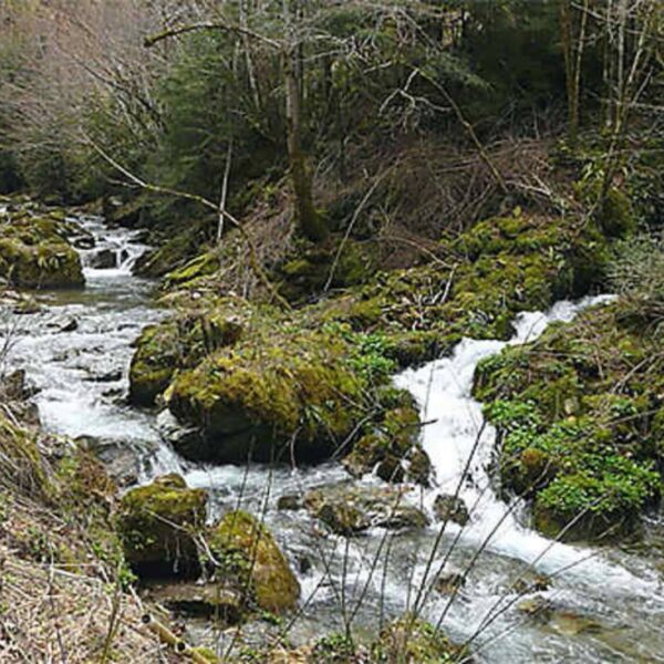 Remonter la rivière « Le Rebenty »