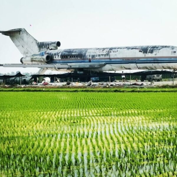 un avion en plein milieu des rizières