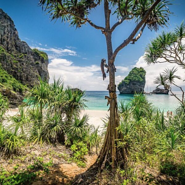 Un Coin Oublié de Koh Phi Phi
