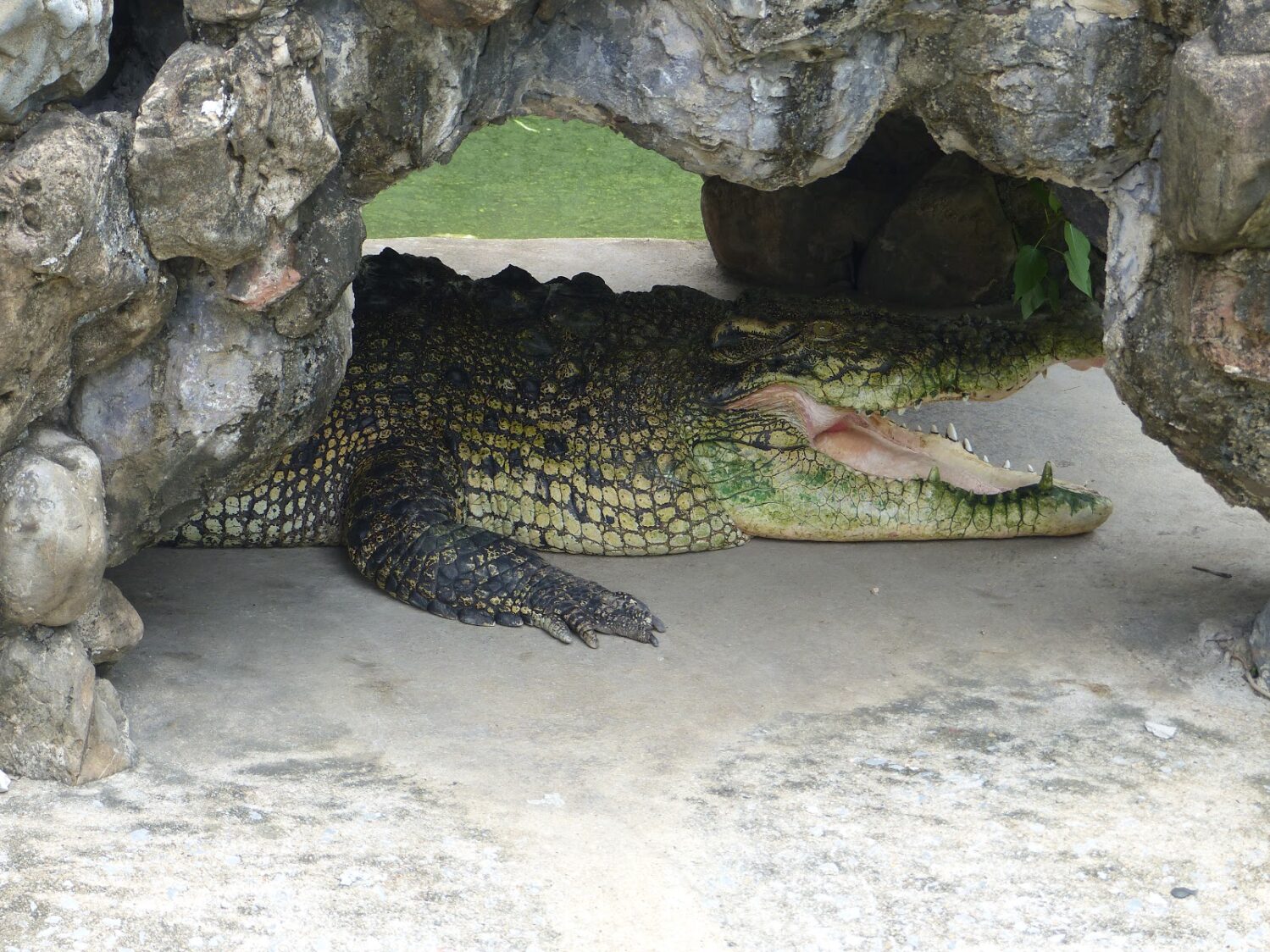 Wat Chakkrawat (Temple des Crocodiles)